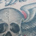 tattoo galleries/ - Skull with Wings and Roses